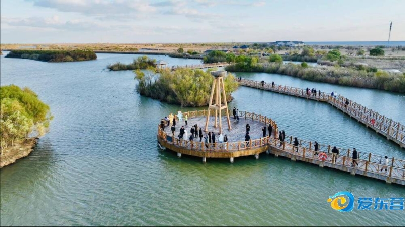 手时的淡定 手时的淡定